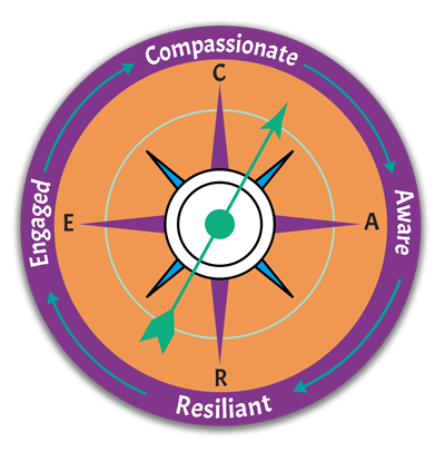 care compass with orange cener and shadow